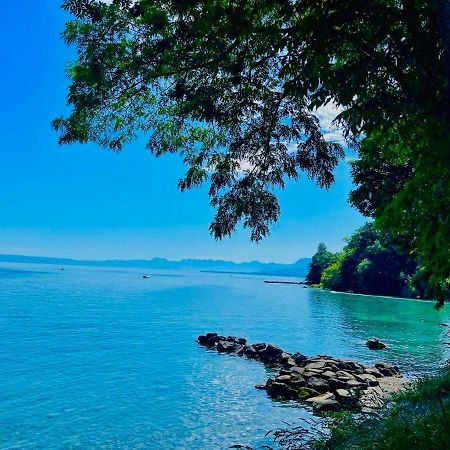 Appartement Le Leman Excénevex Eksteriør bilde